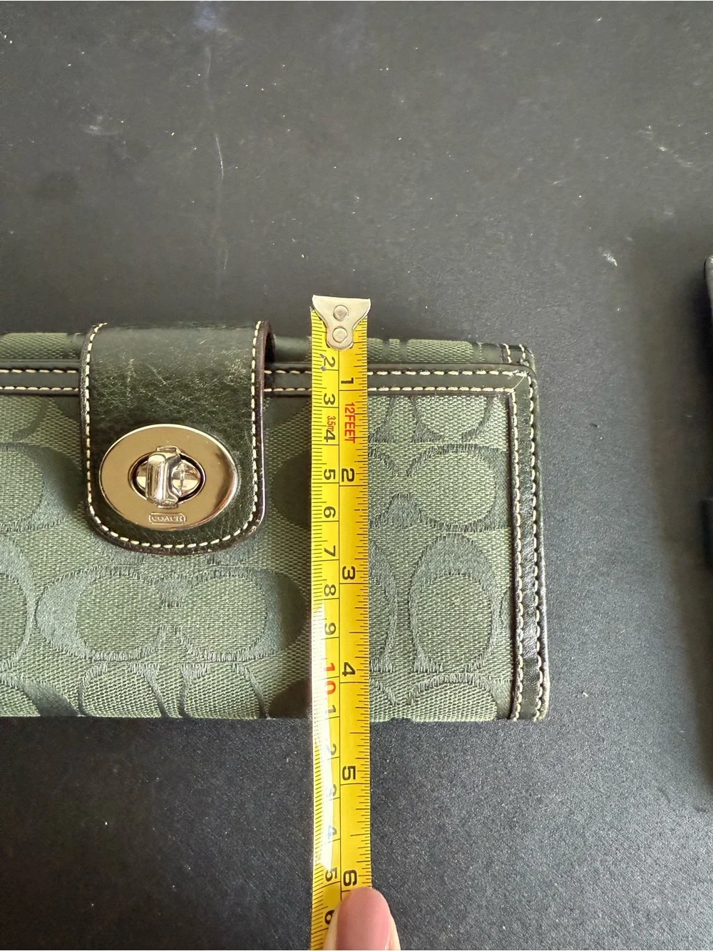 Coach classic y2k